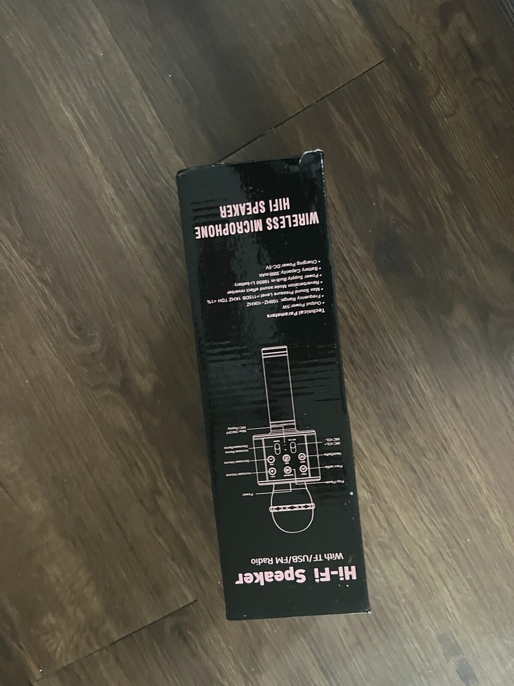 Two Karaoke Microphone