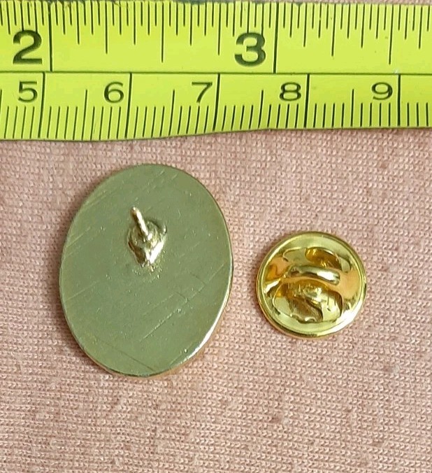 NRA Millennium SATF Member Eagle American Flag Pin Second Amendment Task Force