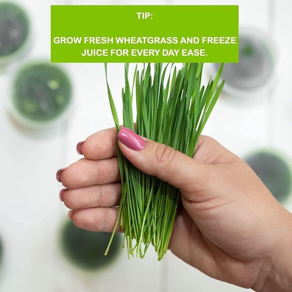 Complete Wheatgrass Growing Kit with Biodegradable Mats