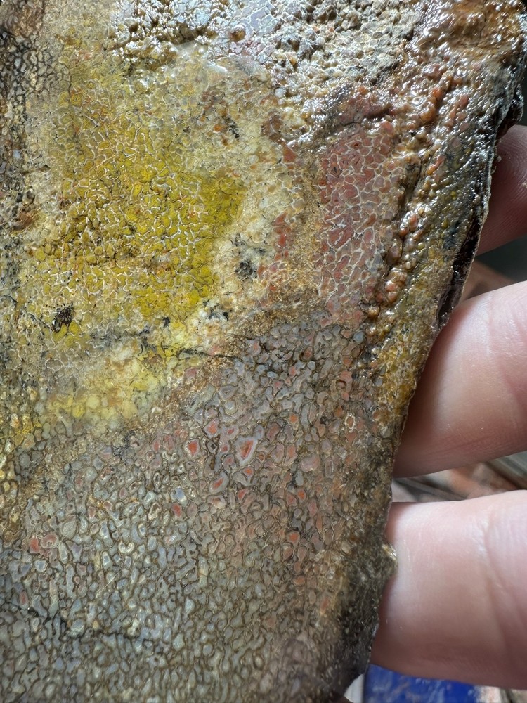 Dinosaur bone rough **hxtled slab.