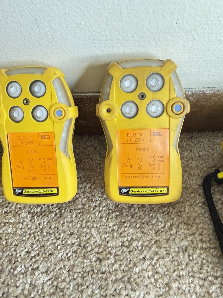 BW TECH GasAlertQuattro