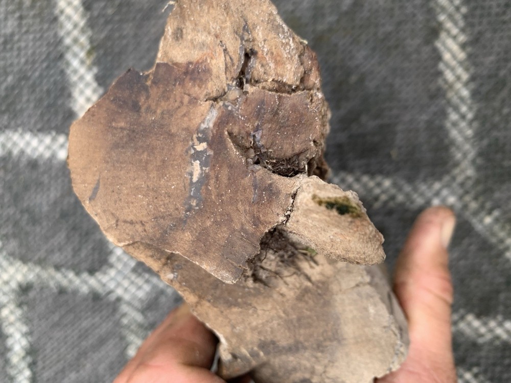 Petrified Wood With Crystallization About 10 Pounds