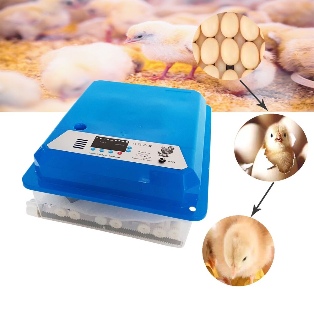 36 Egg Incubator Temperature Control Automatic Digital Quail Hatcher Breeder