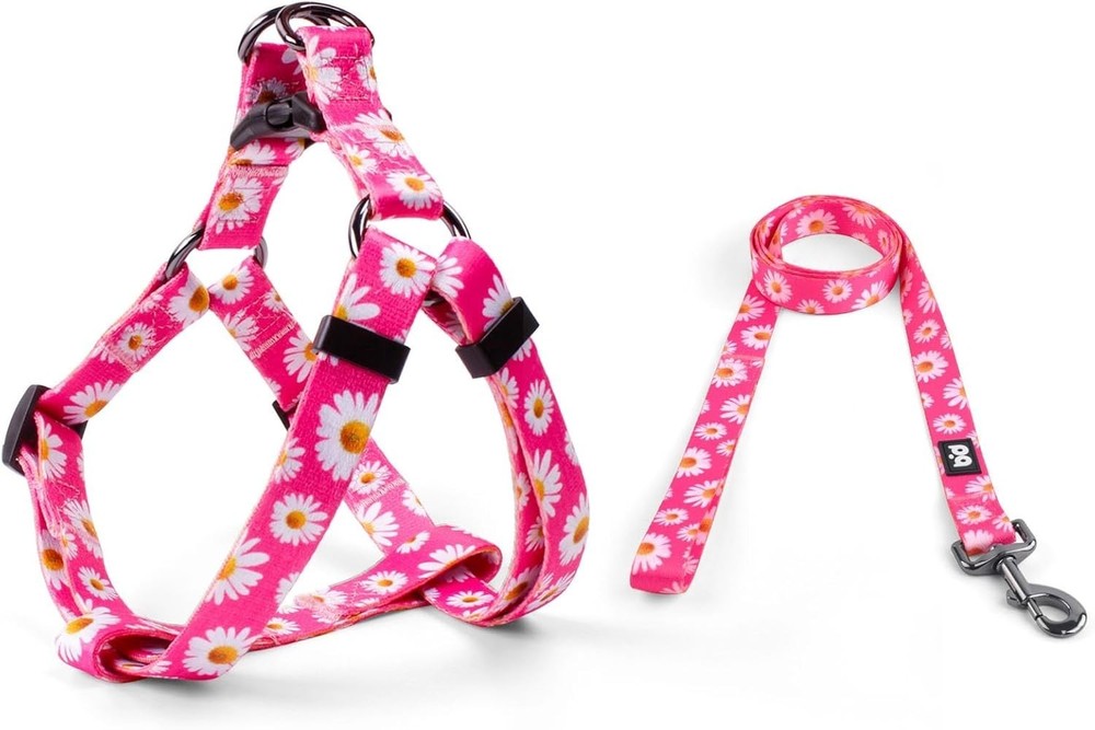 Dog Harness Leash Set Adjustable Heavy Duty No Pull Halter Harnesses Small