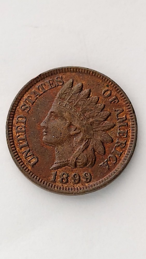 1899 United States Indian Head Cent