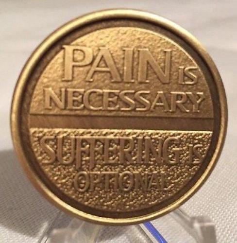 Circle Triangle Pain Is Necessary Suffering Is Optional Medallion Chip Coin AA