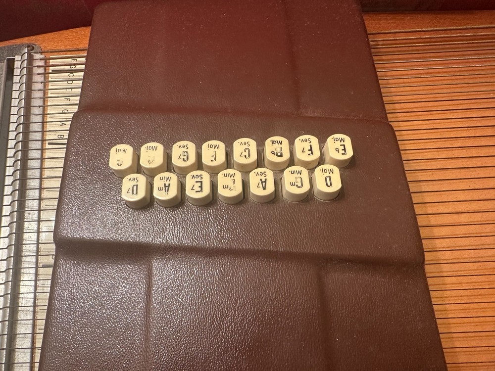 autoharp oscar schmidt 15 chord 36 string with case