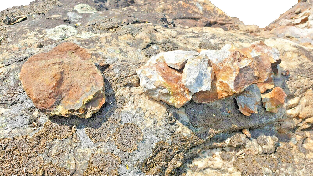 17lbs gold paydirt unsearched