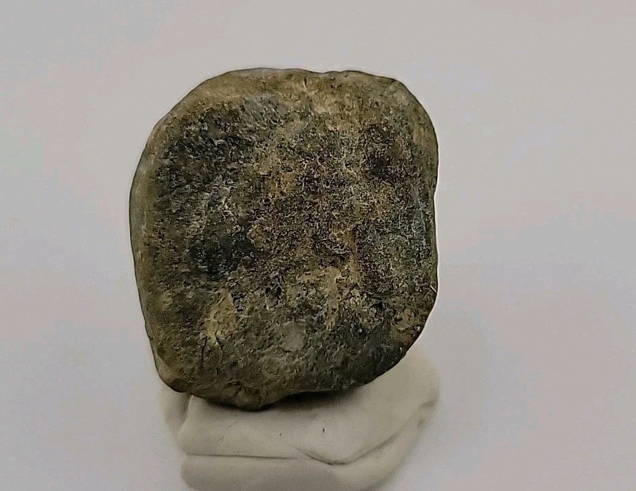 Real Permineralized Dinosaur Half Egg Embro Uv Reactive