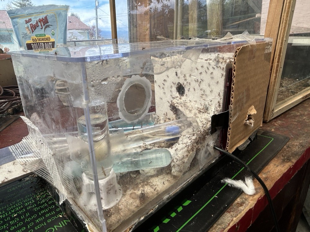 Formicarium