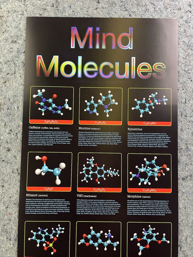 Mind Molecules Science Chemistry Poster Drugs Molecular Chart 12x36