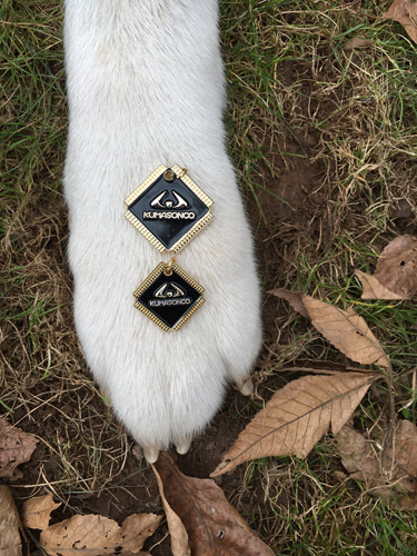 Pet Dog Cat Engraved ID Identification Emergency Tags