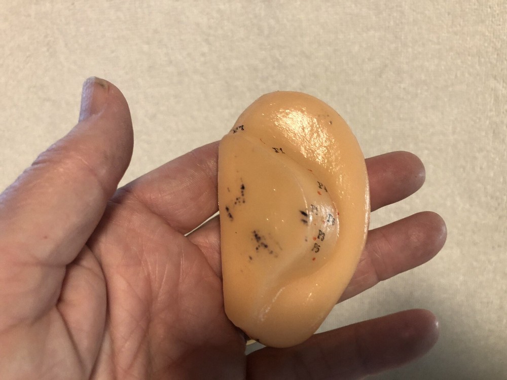 Vtg Human Ear Acupuncture Model w/Acupuncture Points