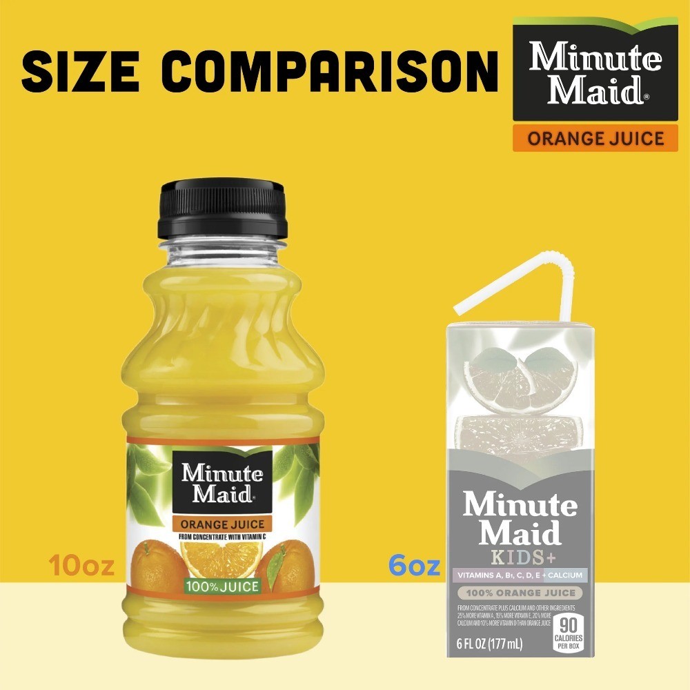 Orange Fruit Juice Drink Natural Refreshment 10 fl oz Bottles 6-Pack