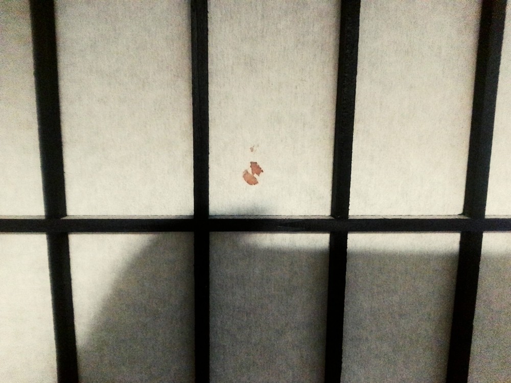 ROOM DIVIDER5 PANELS