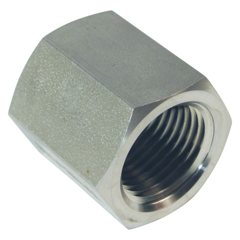 Threaded NPT Cap | FNPT 1/2 inch - SS316 (2 Pack)