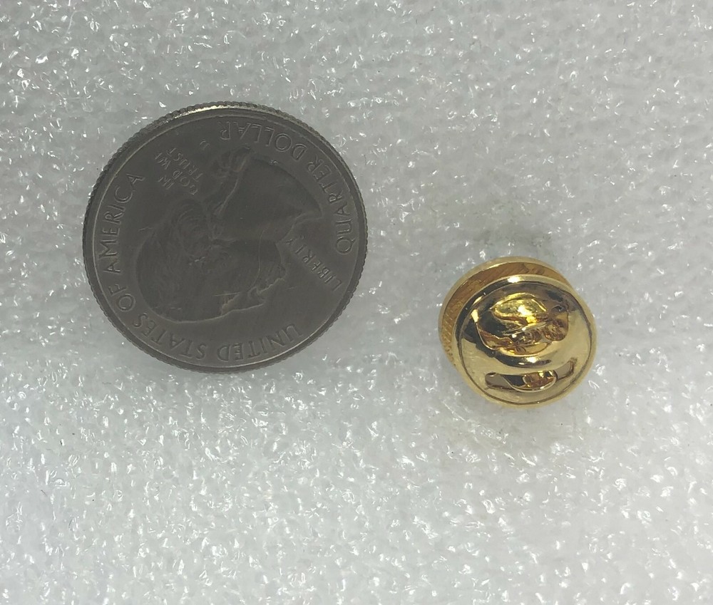 2000 In 2000 AWP Members Pin