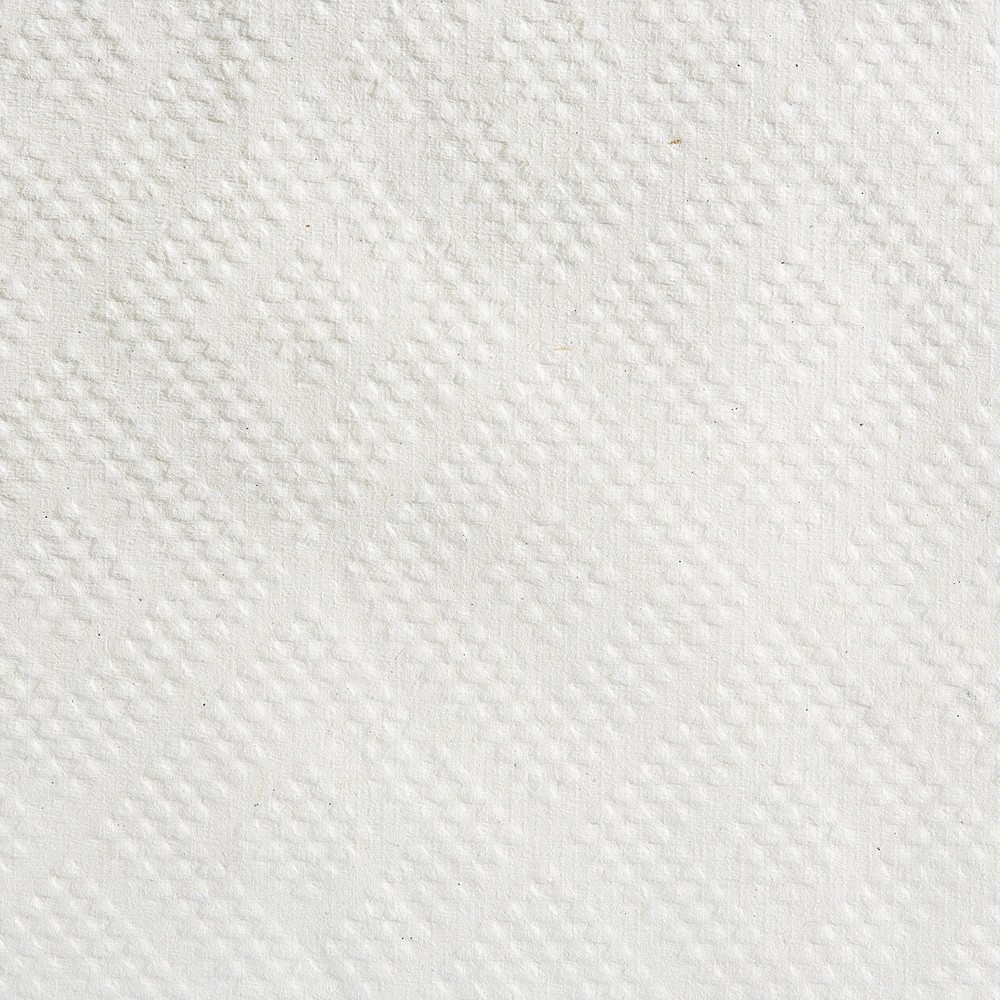 Pacific Blue Basic Paper Towel Hardwound Roll 12 Pack(s) 1 Towels/ Pack