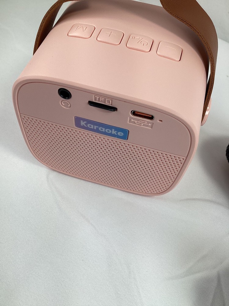 Portable Karaoke Machine with 2 Wireless Microphones Mini Bluetooth Speaker