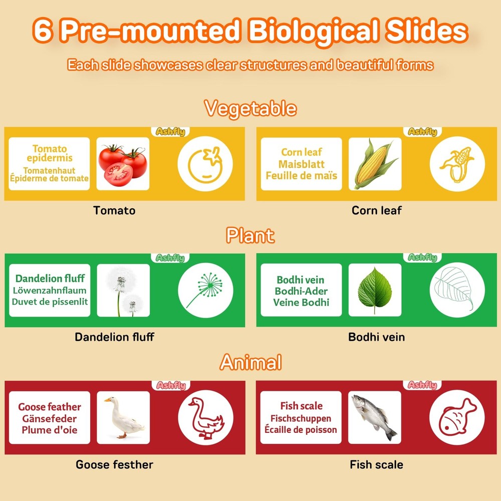 1000X Digital Handheld Microscope for Kids with 2.0" IPS Screen, Orange