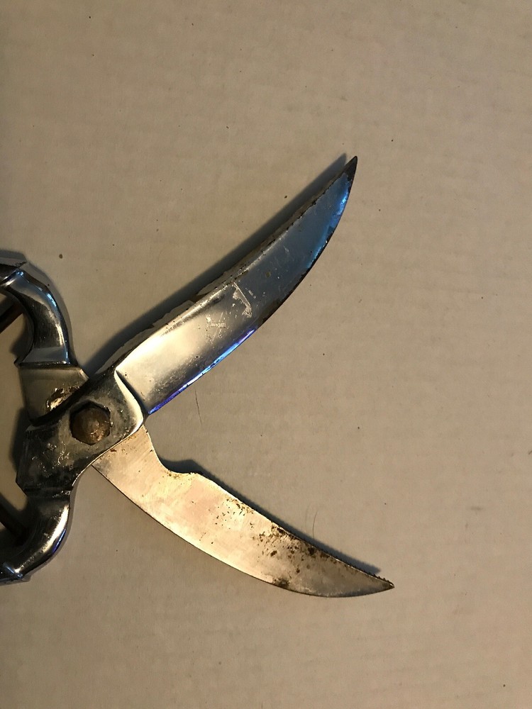 E. Spitzer SOLINGEN GERMANY Chrome & Antler HANDLE HUNTING Snips Scissors