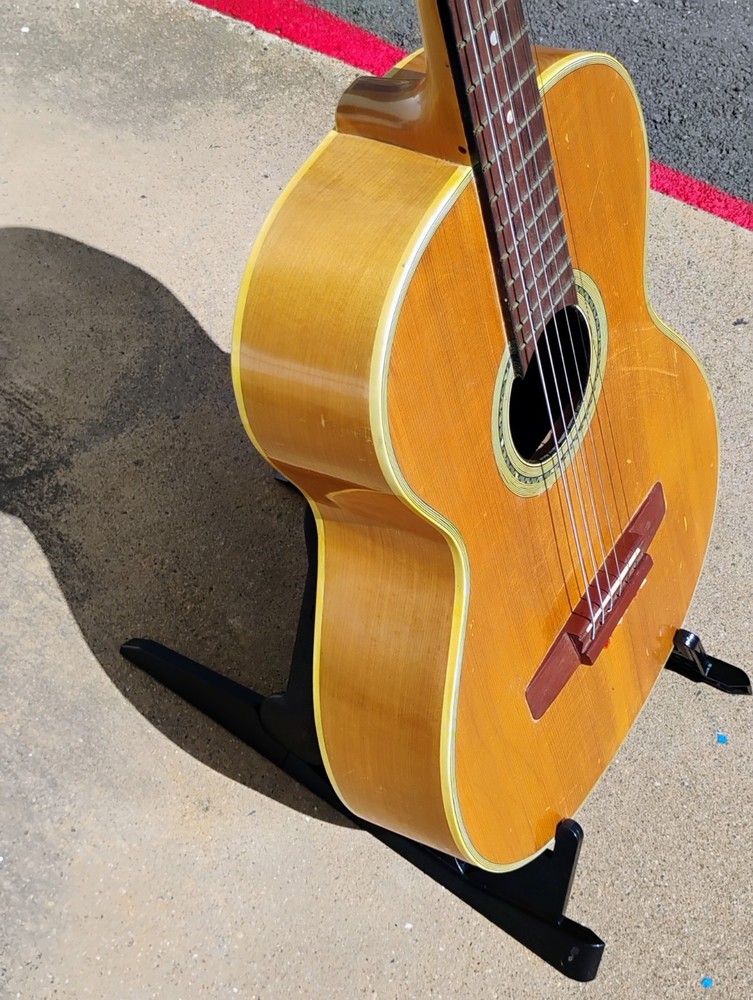 Nardan Acoustic Guitar w/CSC! -LL