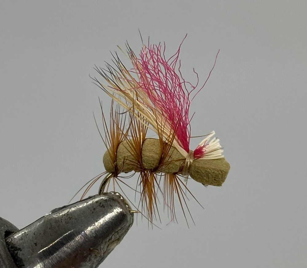 One Dozen (12) - Never Sink Caddis - Tan - Dry Fly