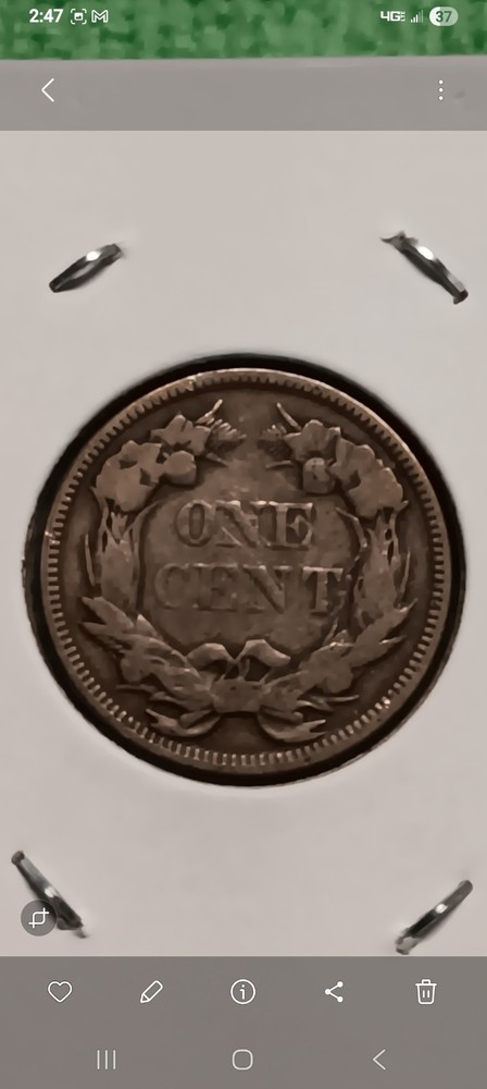 1858 Flying Eagle Cent Combo (Large & Small Letters)