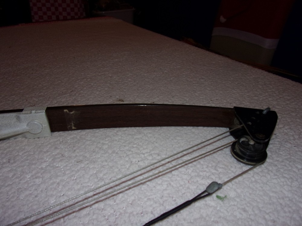 Bear Mini Magnum Compound Bow