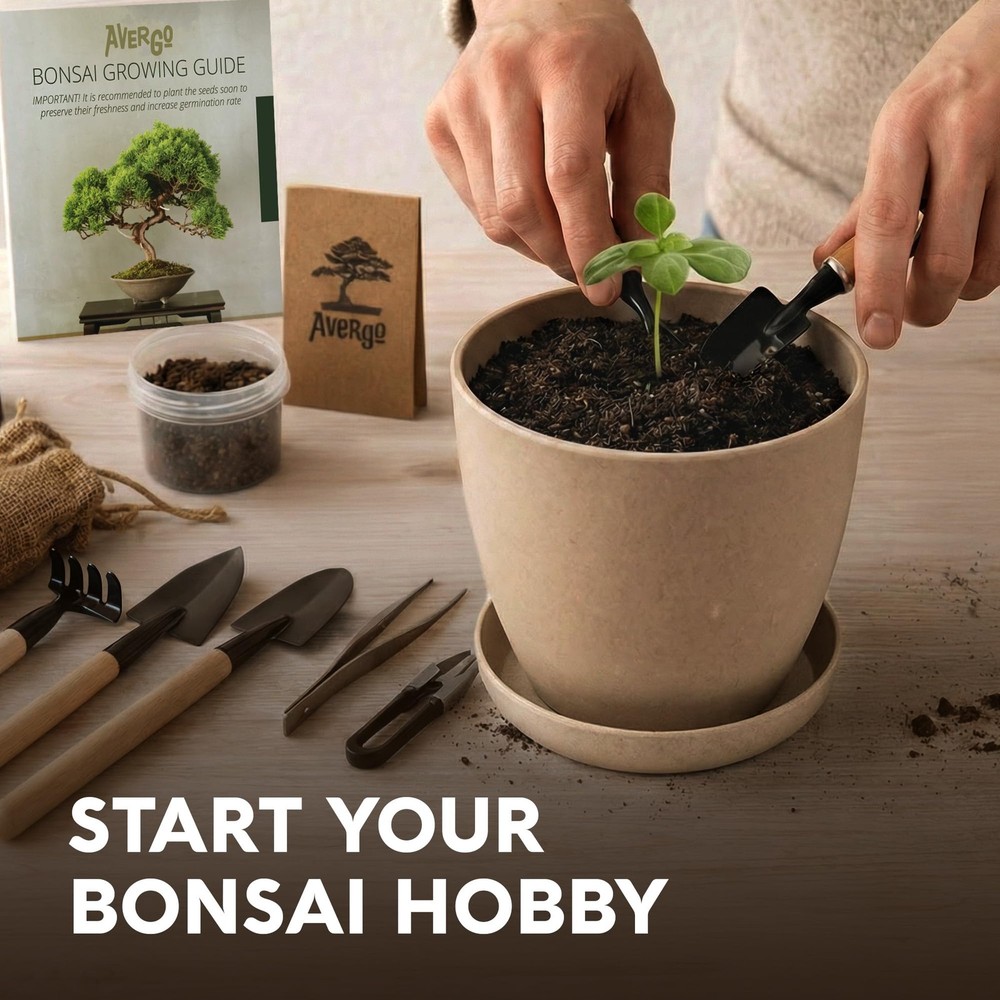 Bonsai Starter Kit – Growing Jacaranda Bonzai Tree | Complete Indoor Tree Kit...