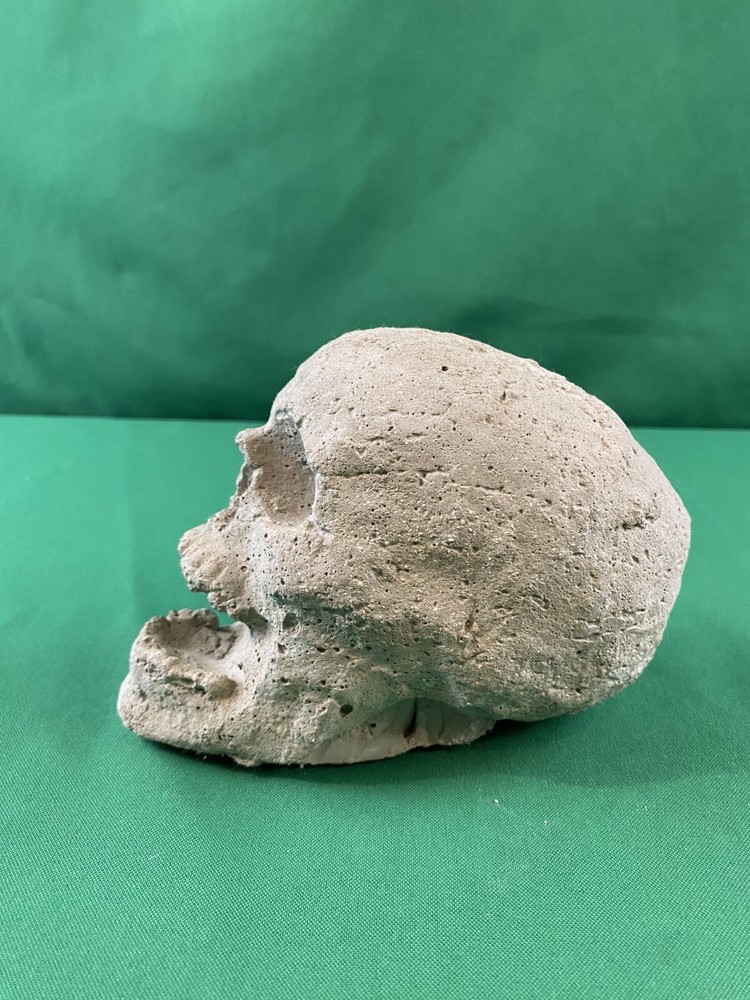 Hand Cast Fireproof Cement Fire Pit Skull Log for Bonfire Campfire Fireplace