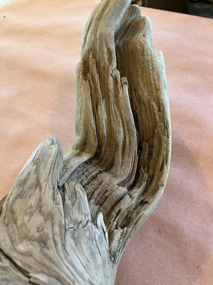 Beautiful Driftwood