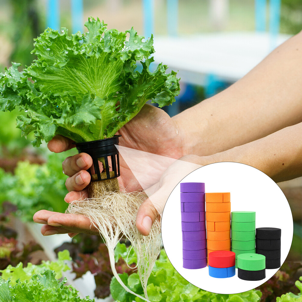 50PCS Hydroponics Clone Machine Inserts Garden Clone Collars Hydroponics Clone