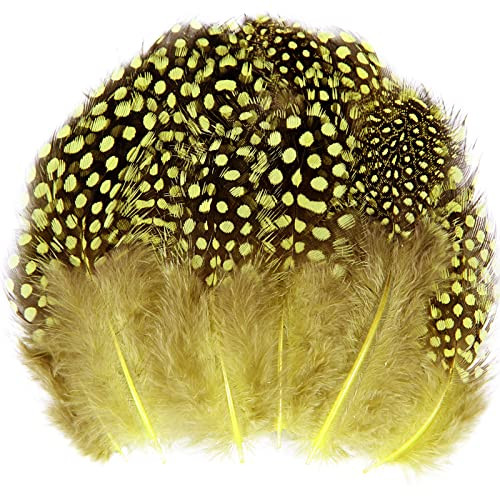 Spotted Feathers 120pcs 2-3inch Small Natural Bulk Guinea Pheasant Feather
