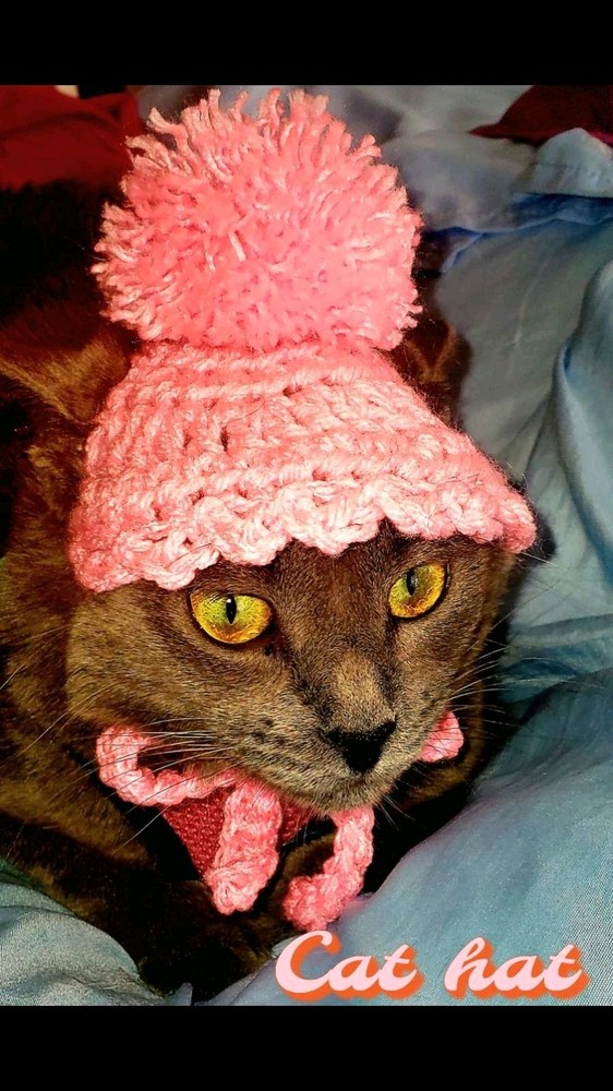 Cat Hat