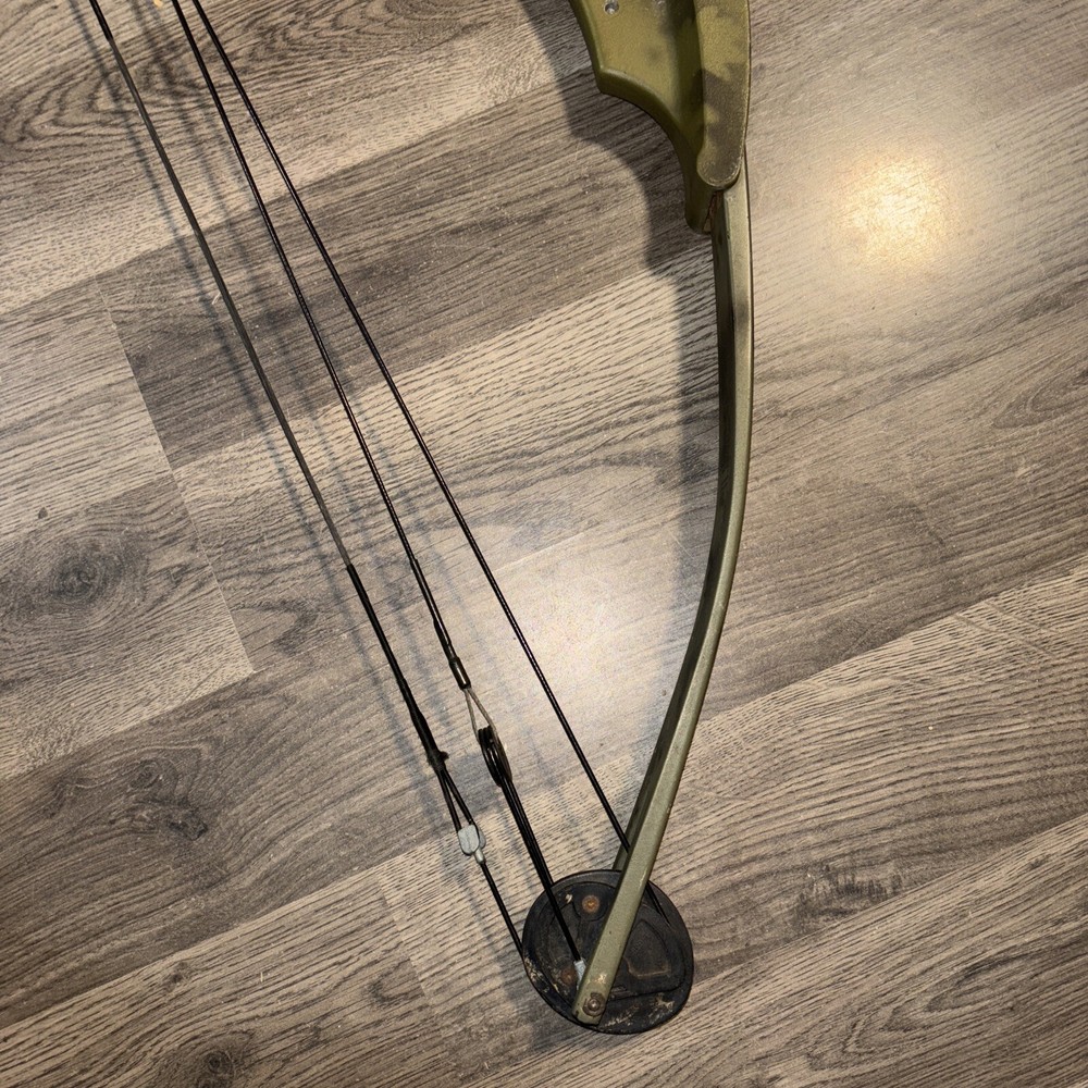 VINTAGE BEAR Whitetail II Compound Bow