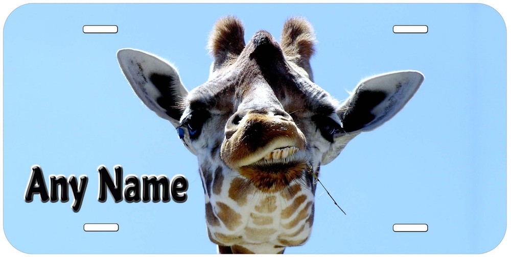 Giraffe Any Name Personalized Novelty Car License Plate