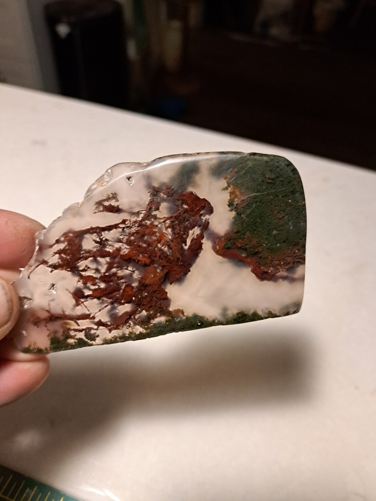 Moss agate Maury Mountain Polished Slab
