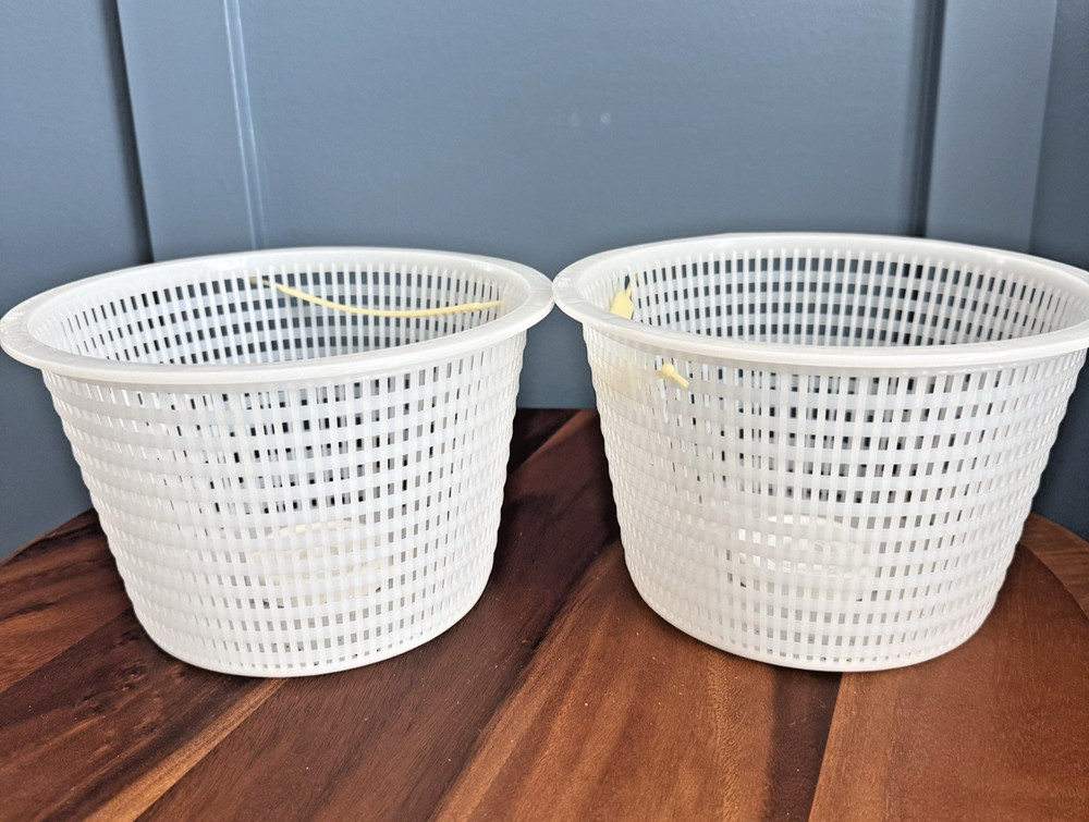 Replacement Pool Skimmer Basket