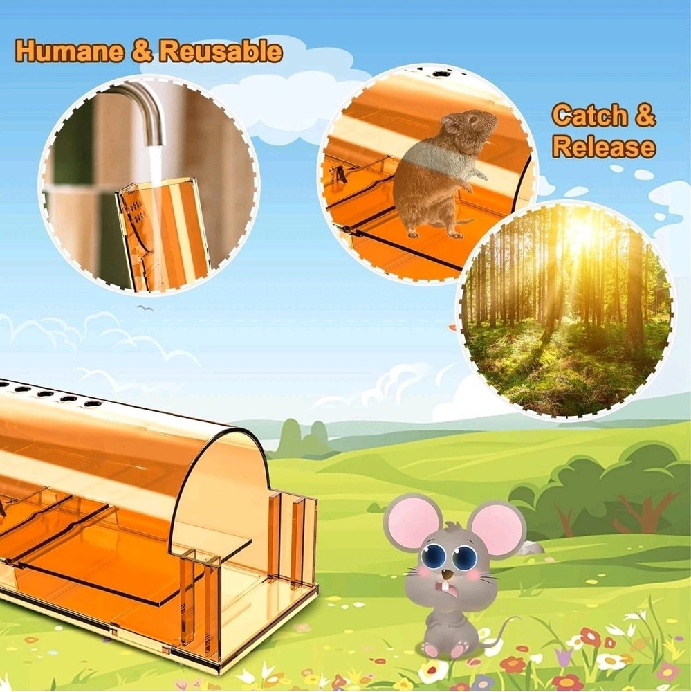 6 Pack Campior Humane Mouse Traps Indoor Reusable No Kill Blue