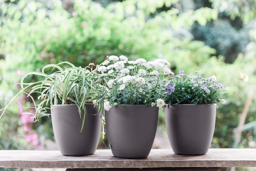 7'' Self Watering planters for Indoor Plants - with Water Level Indicator