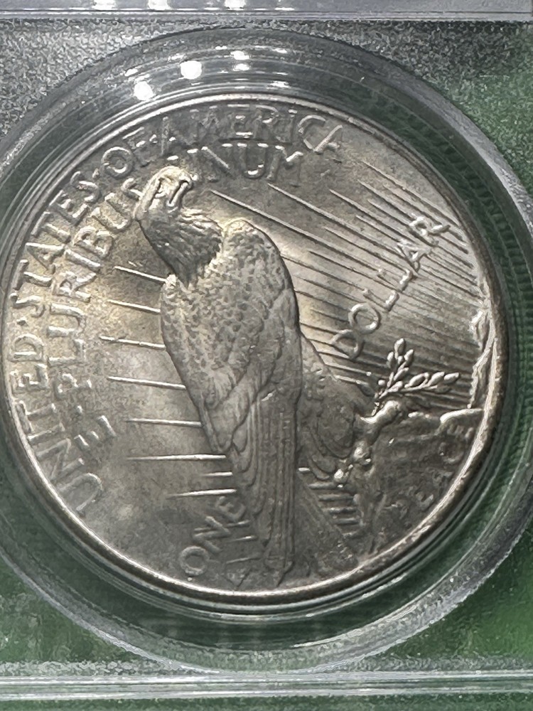 1925 Peace Silver Dollar MS65 PCGS Blue Label