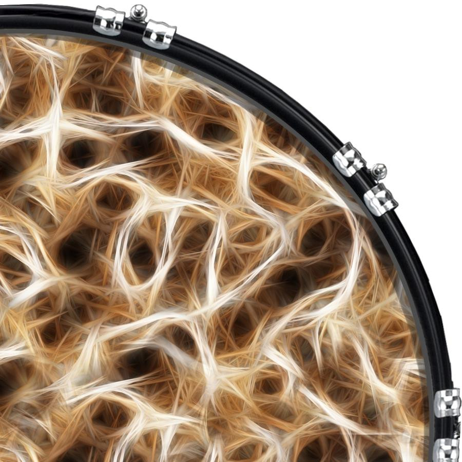 20" Custom Bass Kick Drum Front Head Graphic Graphical Nerves 2