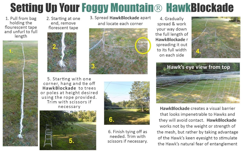 Foggy Mountain Bird-Lace