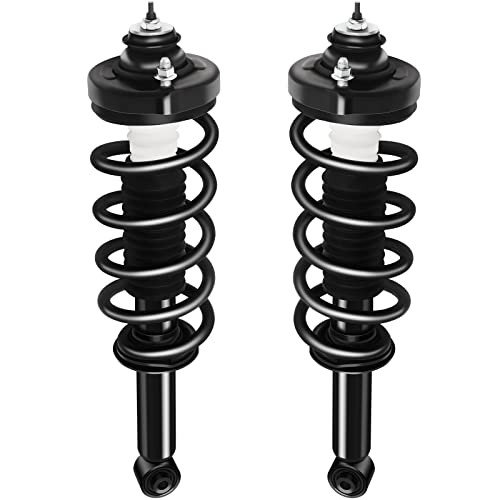 Strut Spring Assembly Rear Struts Shock Absorber Fit for 2*Rear Complete Strut