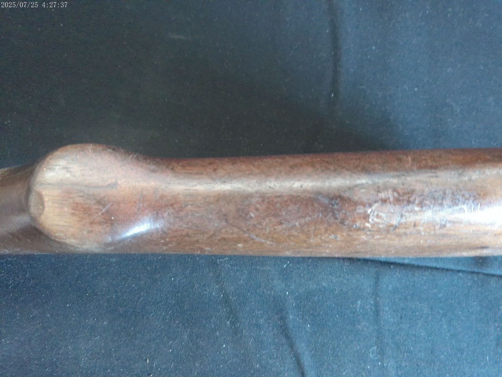 Winchester model 12 12GA butt stock