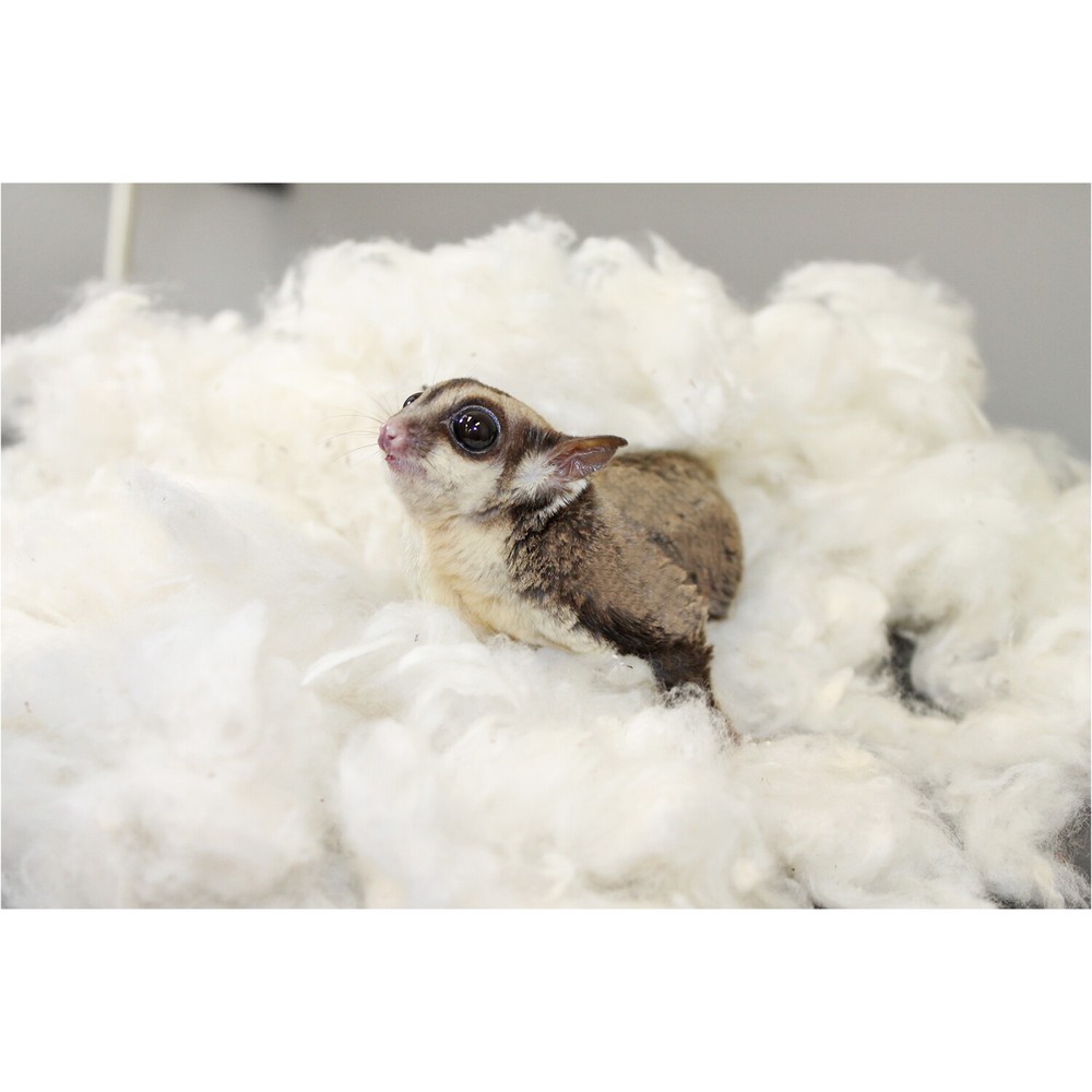 All-Natural Nesting Material 4 oz. - Sugar Glider, Squirrel, Rabbit, Hamster