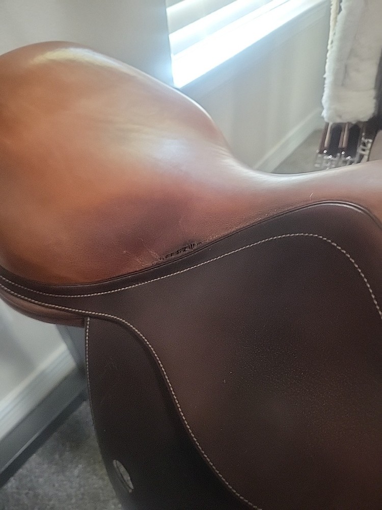 17" Antares Jump Saddle