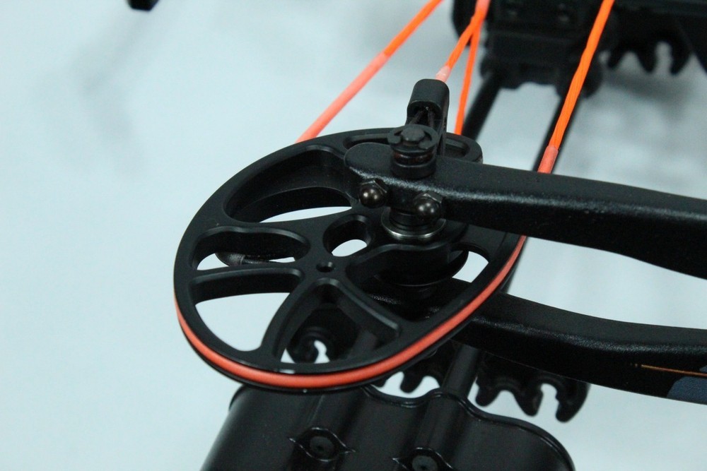 BEAR X BRUZER FFL (SDM042445)