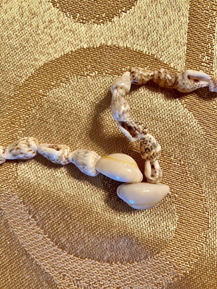 Beige & Cowrie Shell Necklace 34"